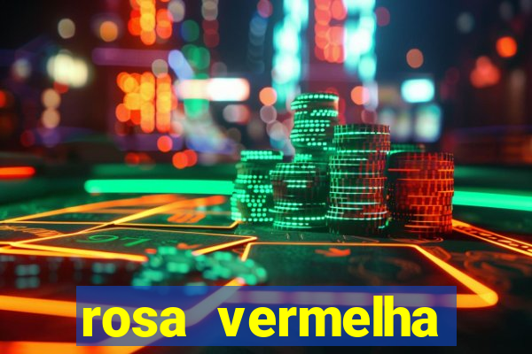 rosa vermelha (letra e cifra)